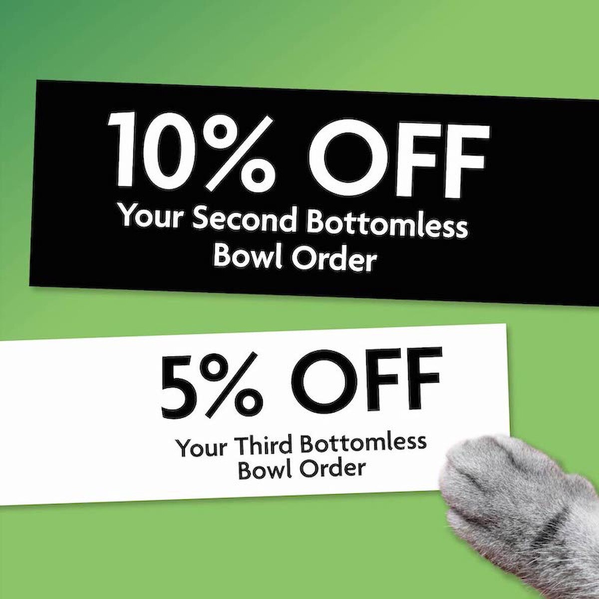 World's Best Multiple Cat Lavender Cat Litter - 28lb (12.7kg)_10